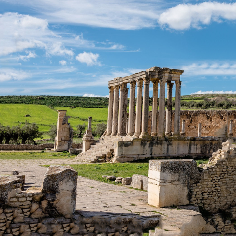 dougga1 (1)