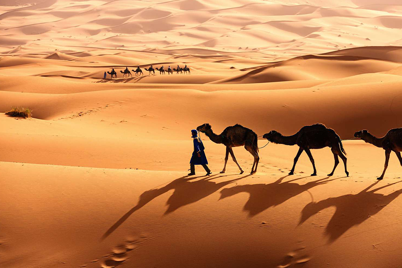 Southern Tunisia Circuit